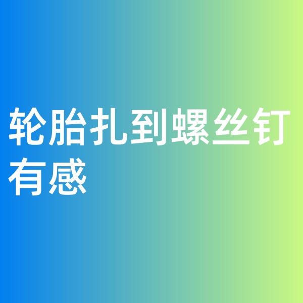 鈀碳回收，輪胎扎到螺絲釘有感